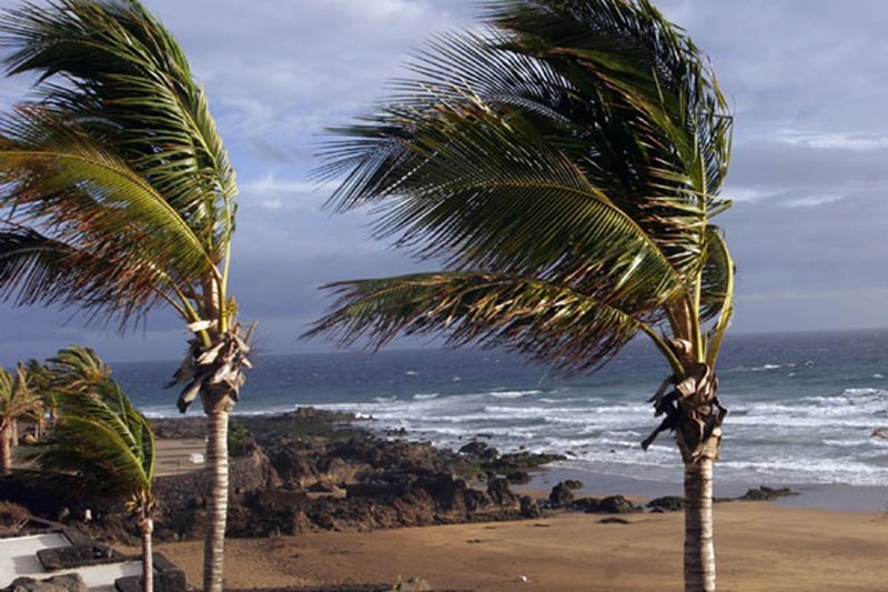 El domingo aflojará el fuerte viento - Lancelot Digital