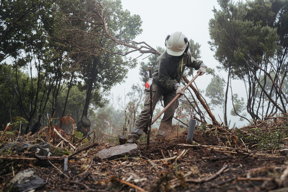 Gesplan Personal Gesplan Personal