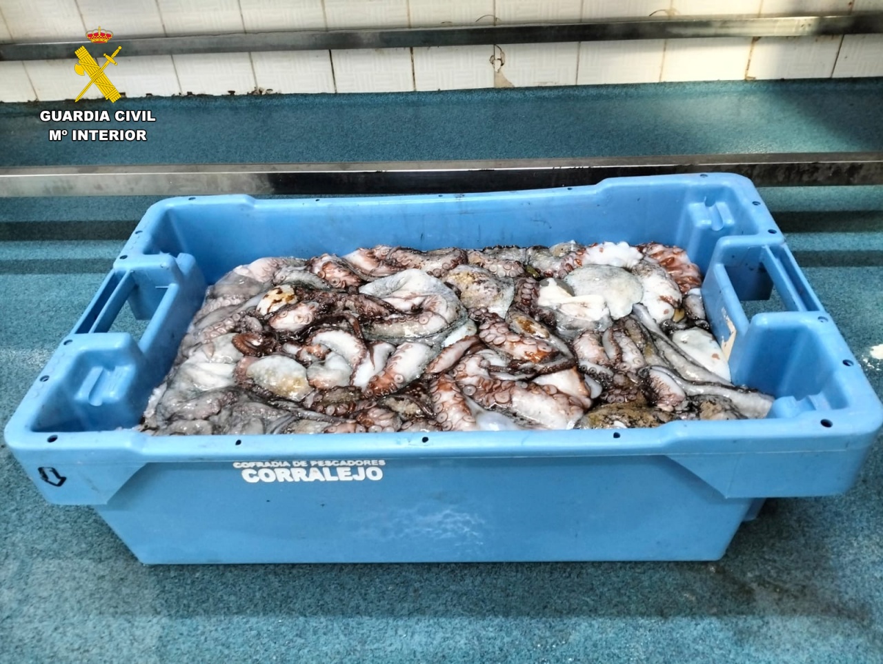 Los agentes sorprendieron a una embarcación en Puerto Calero con una captura veinte veces superior a la permitida Los agentes sorprendieron a una embarcación en Puerto Calero con una captura veinte veces superior a la permitida