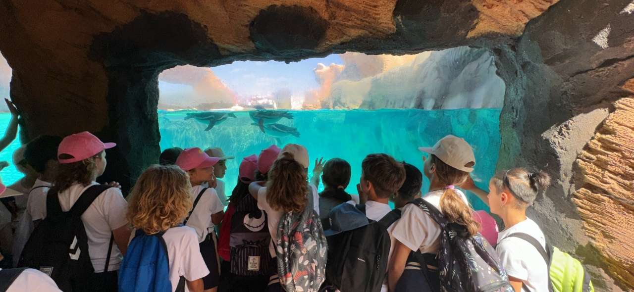 El objetivo es despertar la conciencia oceánica en los más jóvenes, acercando el mar al aula El objetivo es despertar la conciencia oceánica en los más jóvenes, acercando el mar al aula