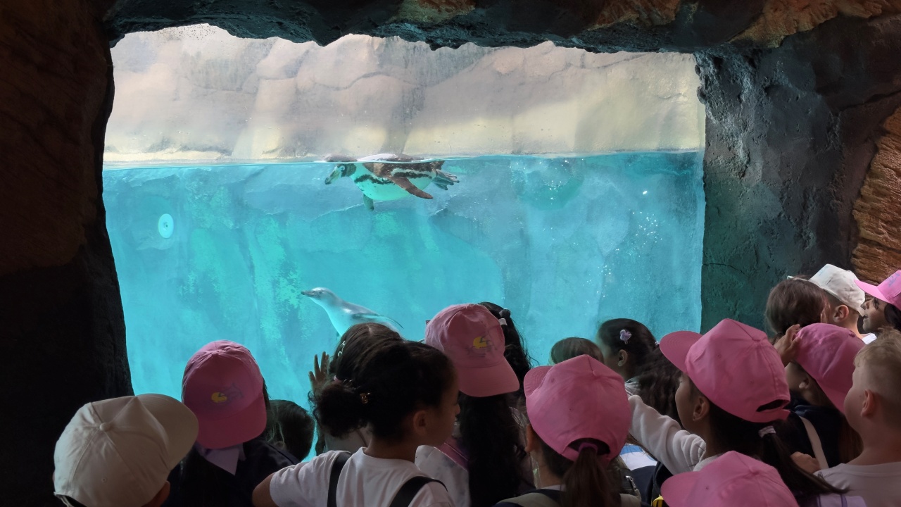 proeycto 2 proeycto 2