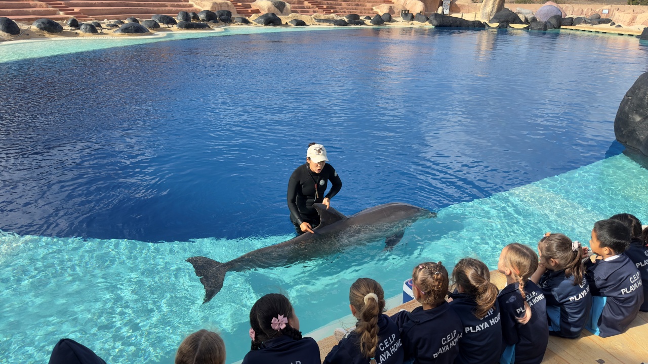 el mar al aula el mar al aula