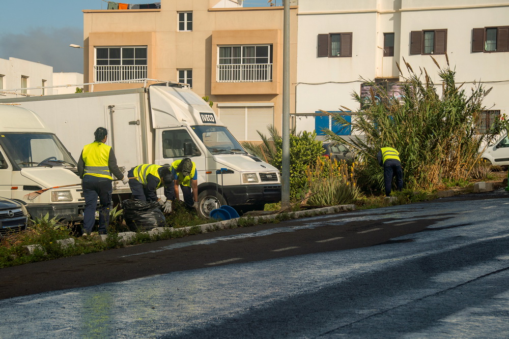 Plan Limpieza actuaciones en Altavista Plan Limpieza actuaciones en Altavista