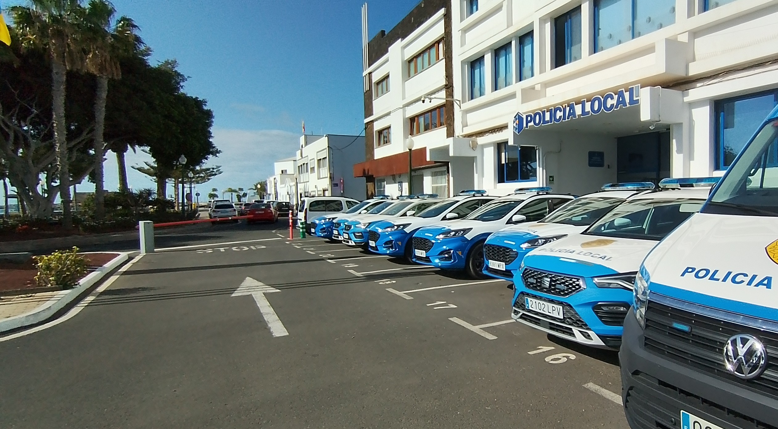 poli arrecife poli arrecife