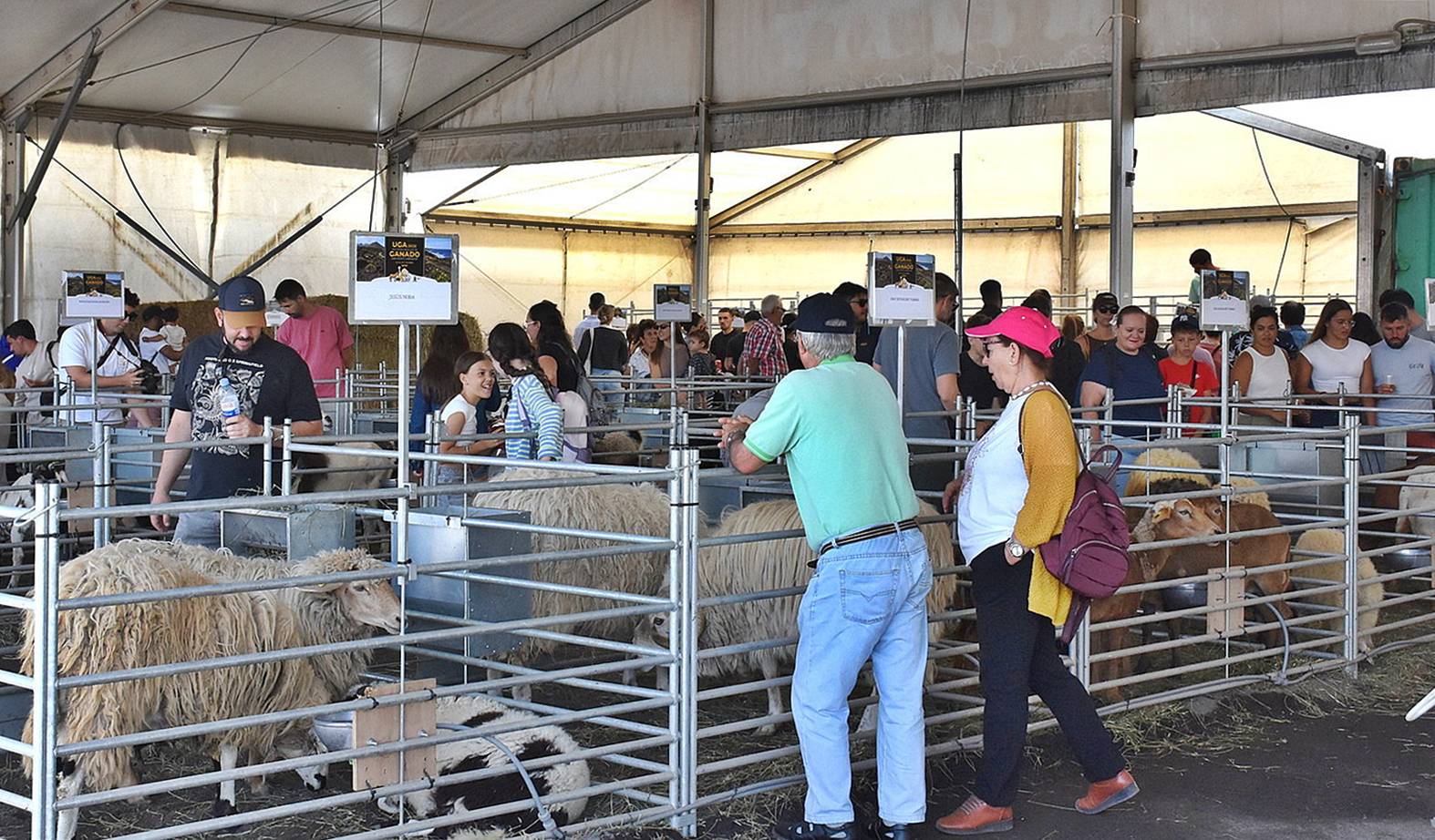 feria ganado uga 2026 feria ganado uga 2026