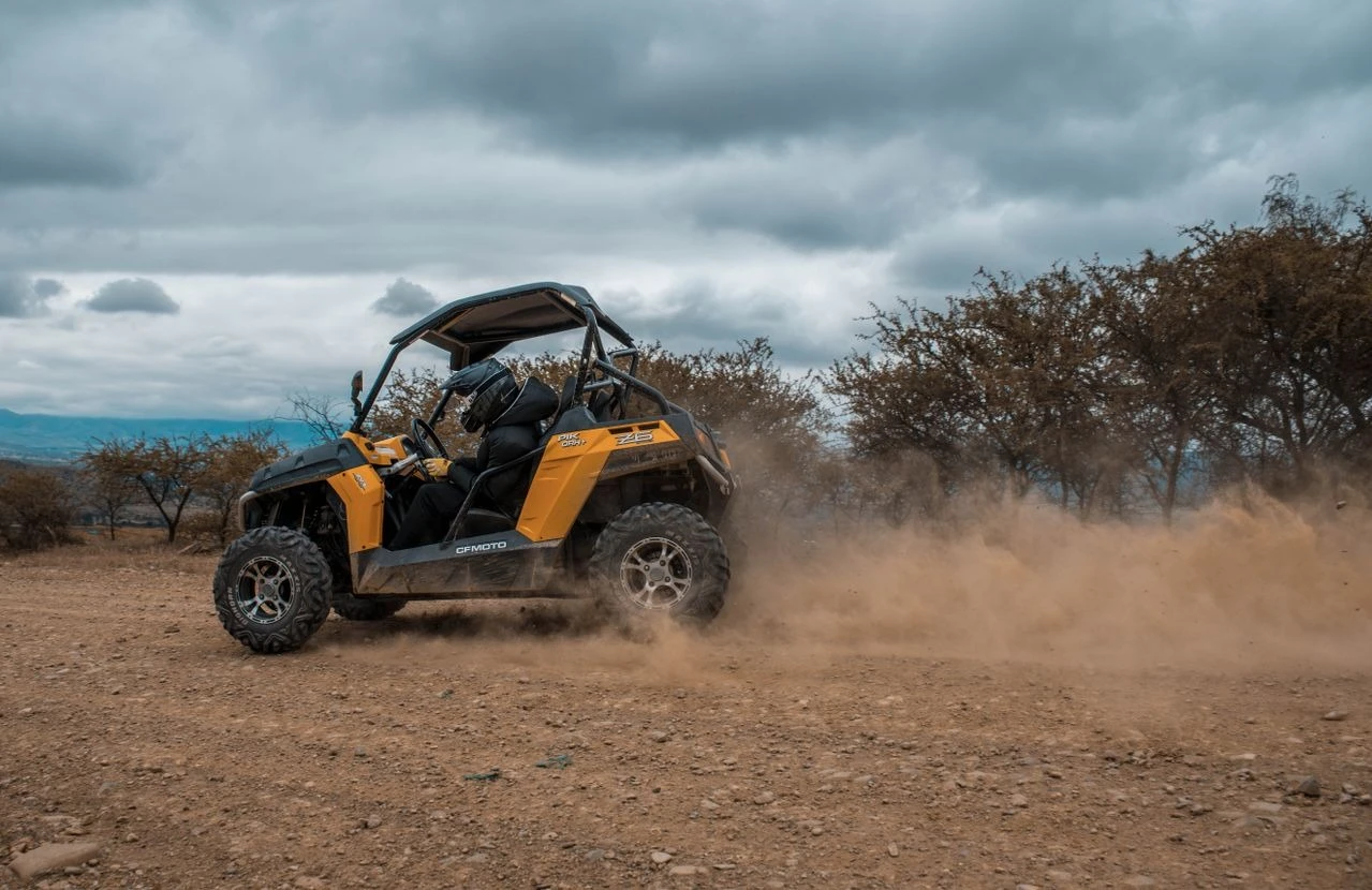 Buggy en venta en España: cómo encontrar el mejor precio sin llevarte un disgusto Buggy en venta en España: cómo encontrar el mejor precio sin llevarte un disgusto