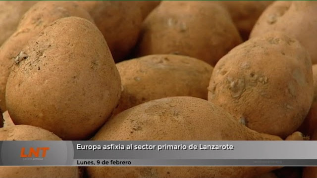 El campo y la pesca de Lanzarote, contra las medidas de la UE El campo y la pesca de Lanzarote, contra las medidas de la UE