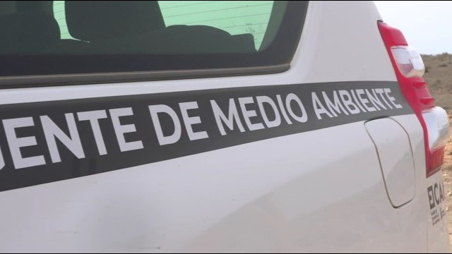 El Cabildo estudia regular la extracción y exportación de rofe para evitar su salida de Lanzarote El Cabildo estudia regular la extracción y exportación de rofe para evitar su salida de Lanzarote